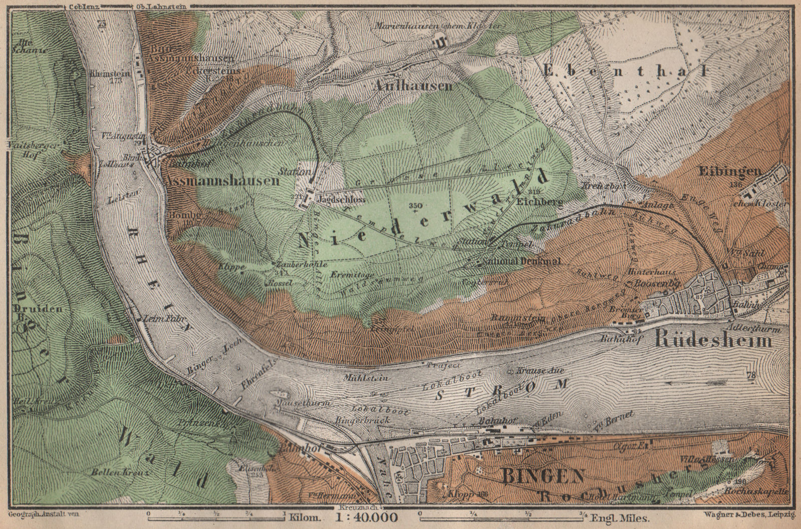 RÜDESHEIM BINGEN. Niederwald. Oberes Mittelrheintal. Rhine Gorge karte 1896 map